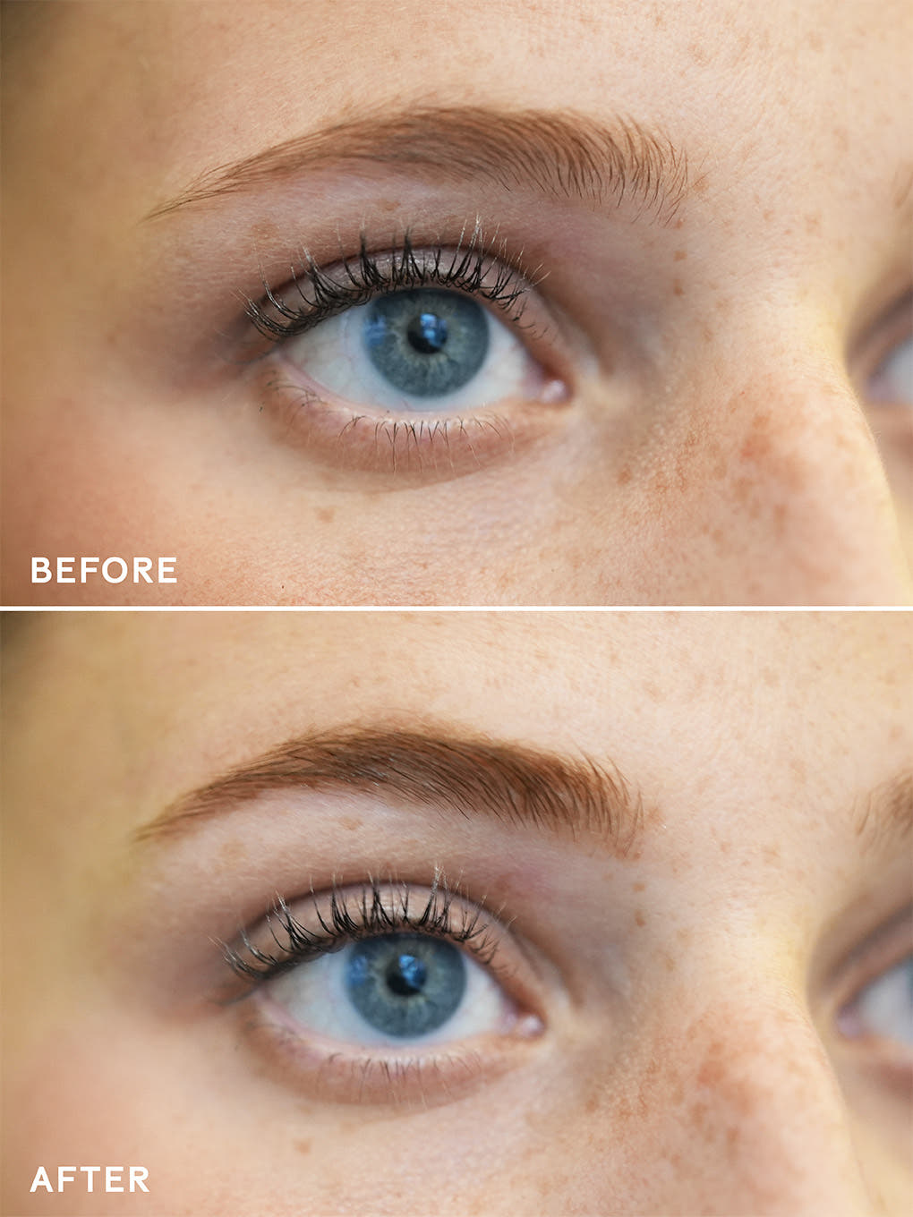 Uni-Brow-Polishing-Wax-Model-Alexis-Before-And-After-Image-2